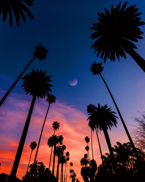 FAD61E65 9B23 4C52 9D35 E72313C8E172 Print