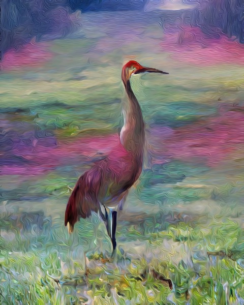 Florida Pastel Sand Crane Print