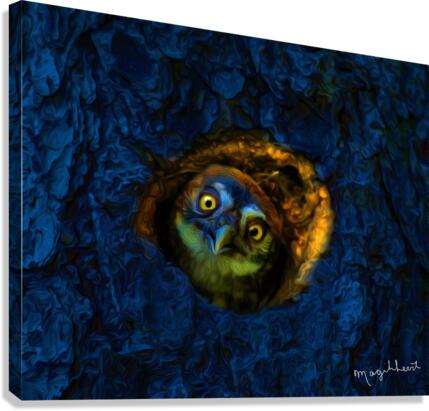 1AFD92C9 F65D 48EF 9B4C 4F900C869EE0 Canvas Print