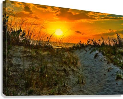 6289408E 001D 431B A222 F59D88C2962D Canvas Print