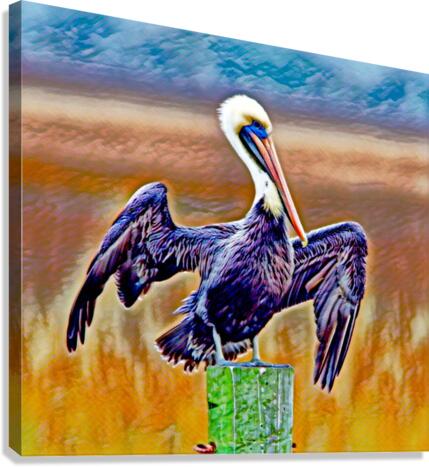Majestic Pelican Wingspan  Canvas Print
