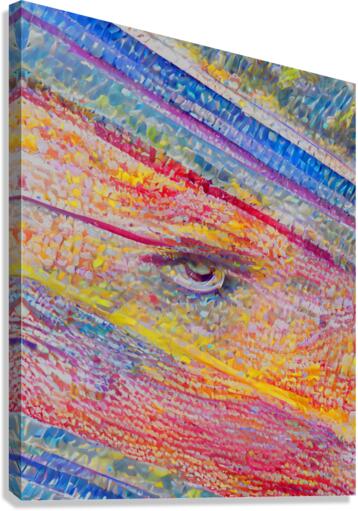 Eye Pride Abstract  Canvas Print