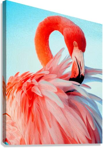 Flamingo Beauty Canvas Print