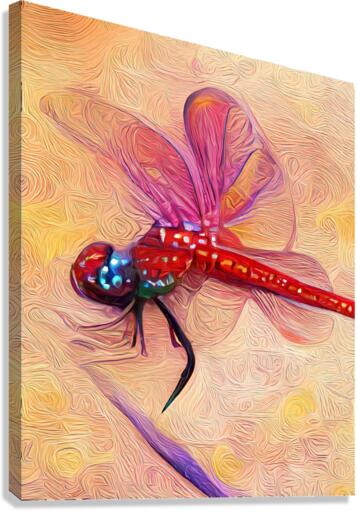 The Mystic Dragonfly Canvas Print