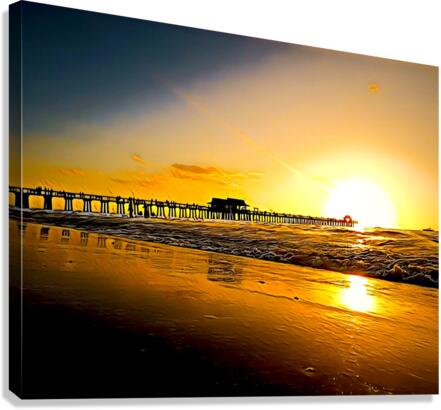 A9E95F5E 339A 4825 AC2C B3E281C715DC Canvas Print