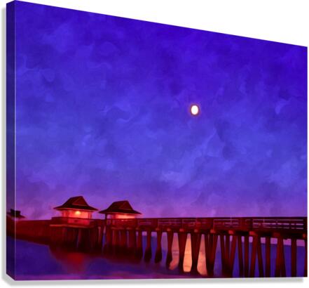 1DE86A95 AFCD 46D2 B589 7A88CA7B1736 Canvas Print