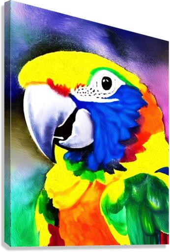 637850EA 15A8 49A3 A023 86AE5C5666BF Canvas Print