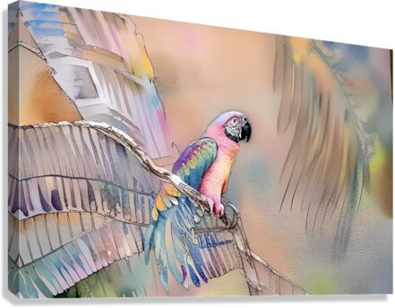 IMG 0068 Canvas Print