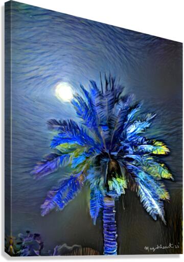 IMG 2459 Canvas Print