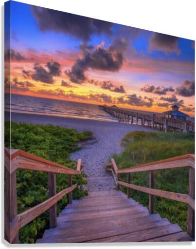 IMG 1847 Canvas Print