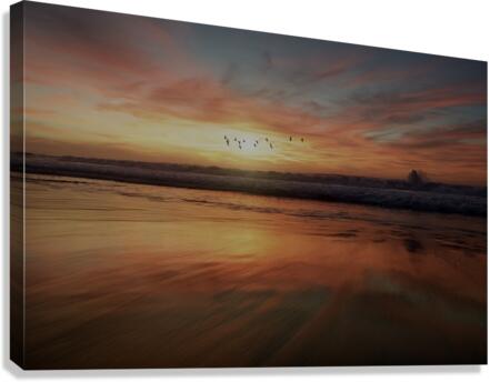 464C0D27 62C5 4BD8 8CDA CAA69BCA41FF Canvas Print