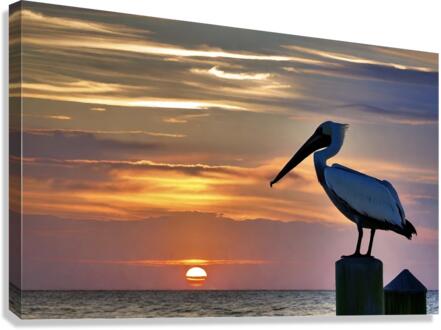 IMG 7726 Canvas Print