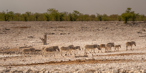 African Mirage March
