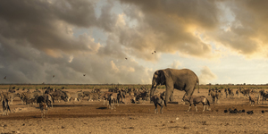 Harmony by the Water