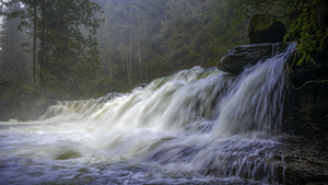 Misty Brown River Falls 