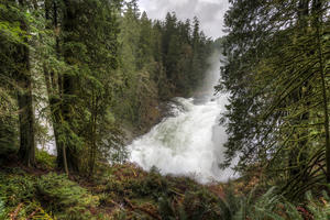The Roar of Elk Falls 