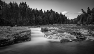 Flowing Stairs: A Fishs Journey