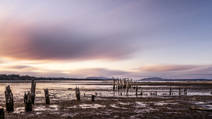 Serene Clouds and Pillions