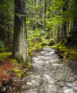Enchanting Wilderness Hideaway