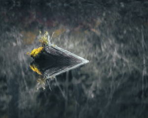 The Art of Reflections