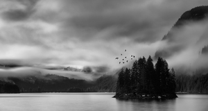 Flight Symphony: Island Escape