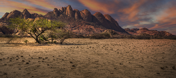Natures Artistry Unveiled Print