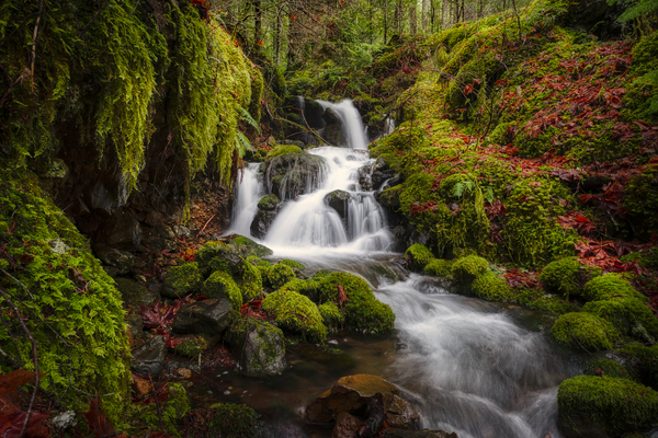 waterfall wonderlust  Print