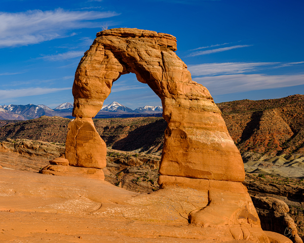 Delicate Arch Signed by Chris Scalise