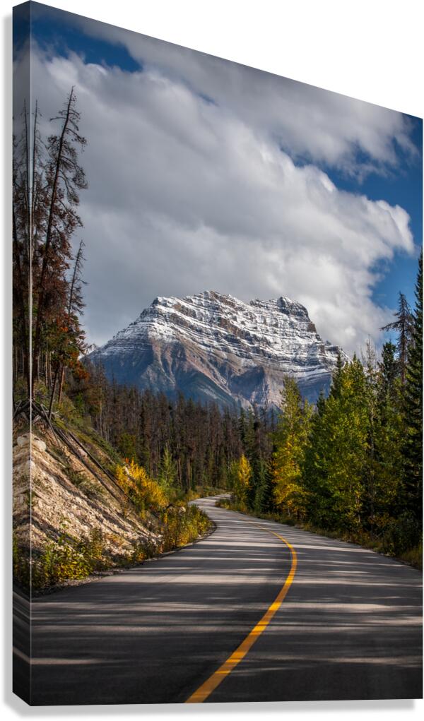Jasper  Canvas Print