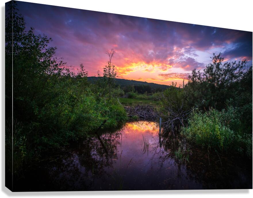 Vibrant Sunset Canvas Print