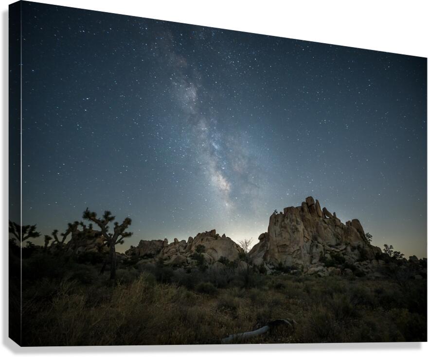 Joshua Tree Canvas Print