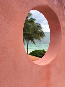 PinkOceanWindow