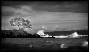 BWHawiicrashingwave