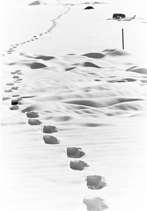 Footstepsinsnow