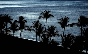 Maui09