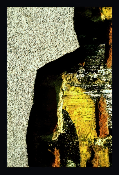 The Man Print