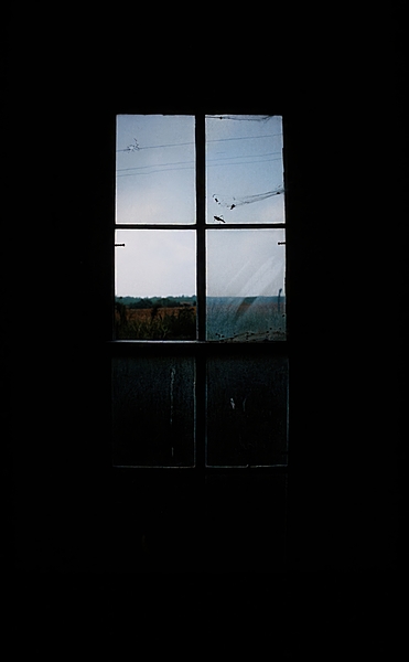 NebWindow 2 Print