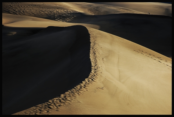 Brownsand Print