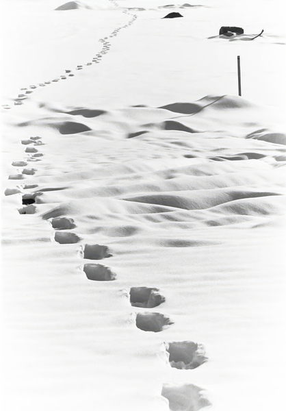 Footstepsinsnow Print