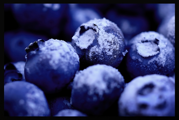 Paris Blueberry by Neal Mondschein