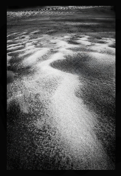 DuneSand Print