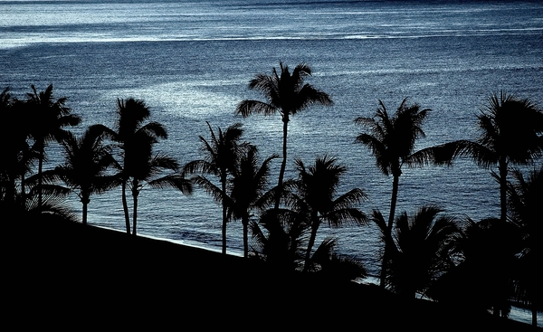 Maui09 Print