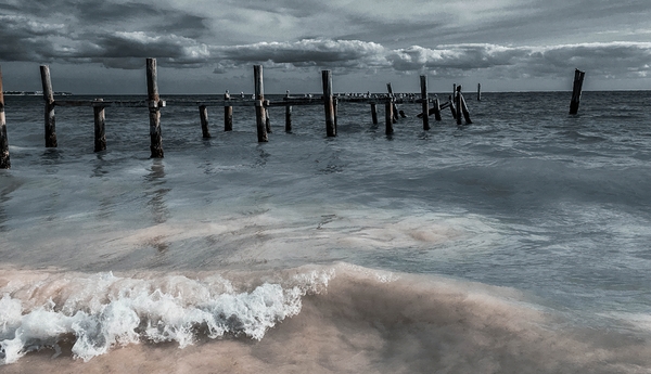 Birdpier Print