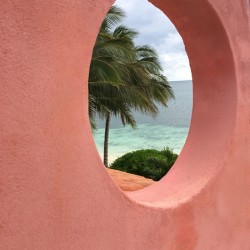 PinkOceanWindow