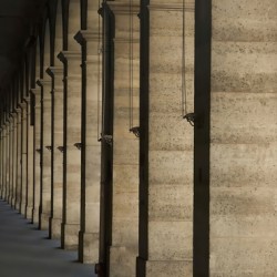 Paris Columns