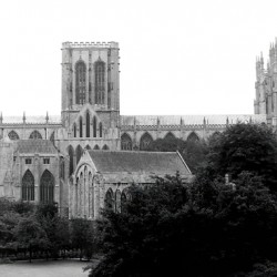 YorkCath