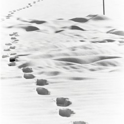 Footstepsinsnow