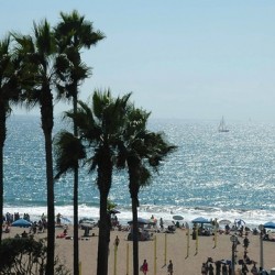 Manhattan Beach88