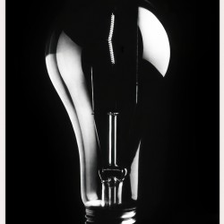 LightBulb
