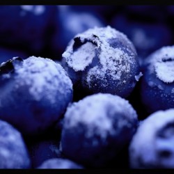 Paris Blueberry